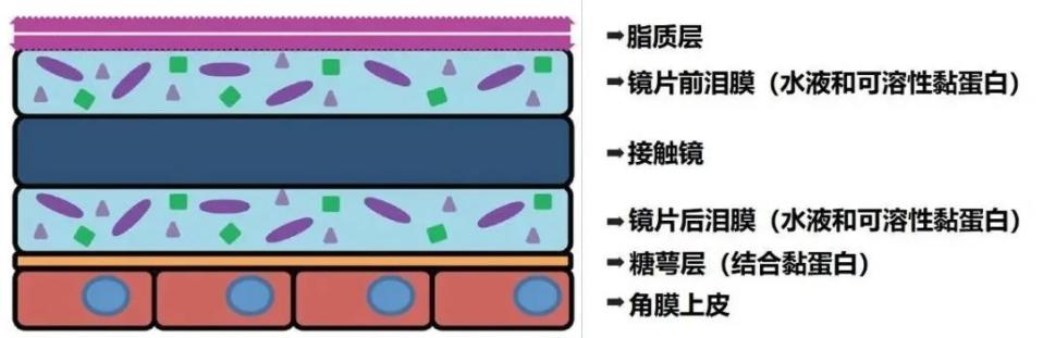 1fafd1a70af7e1096db0351365db9aed.jpeg 1fafd1a70af7e1096db0351365db9aed.jpeg