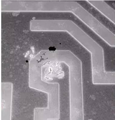 465e5b9d543d419d227c3f590aaa980c.png 465e5b9d543d419d227c3f590aaa980c.png